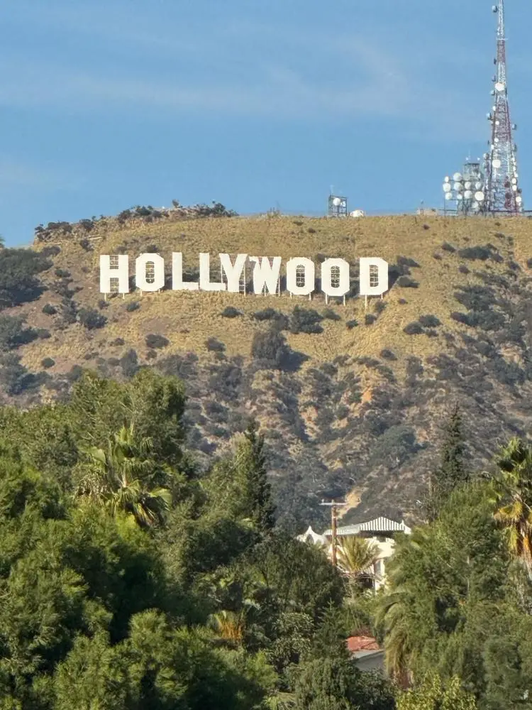 King Hollywood Sign View